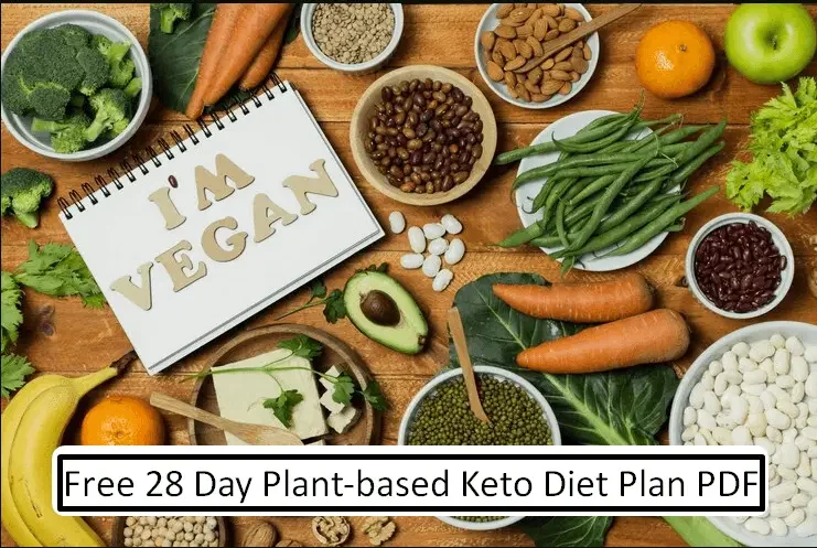 Free 28 Day Plant-based Keto Diet Plan PDF With Beginner Guide